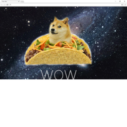 d o g e