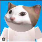 CHILLYCAT ROBLOX GROUP
