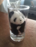 pandafartgod