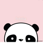 Cutezpanda_bear fan group