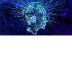 Minds Cult