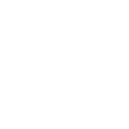 SWAT VS RAIDERS/FPS