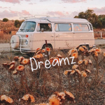 Dreamz!