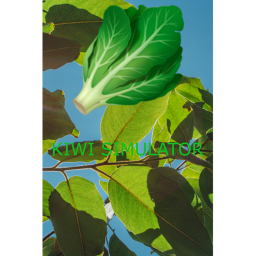 🥬KIWI SIMULATOR