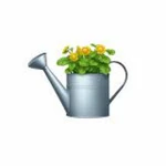 WELL WATERED. Group Thumbnail