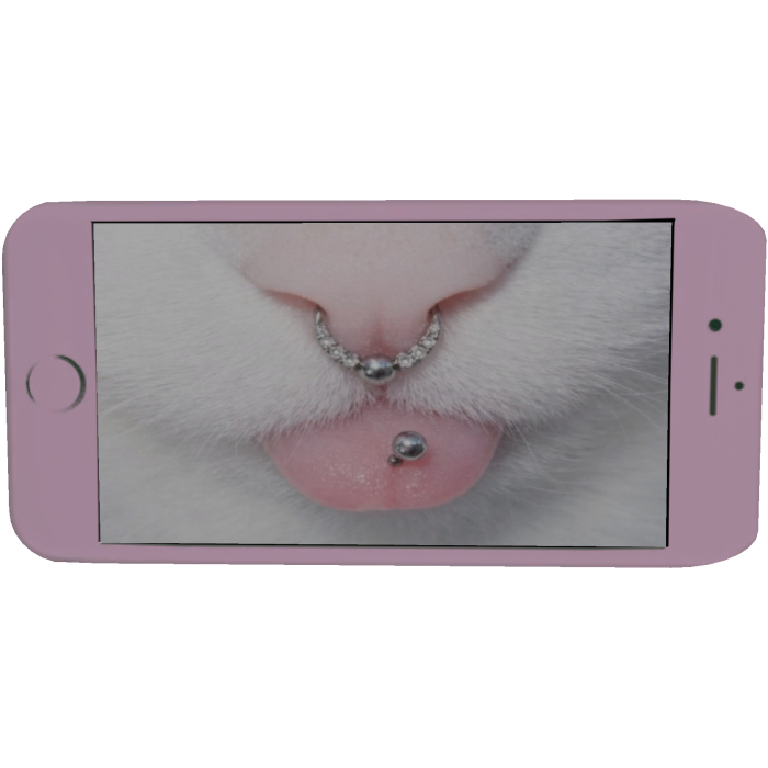 pastel pink alt pierced cat phone face accessory