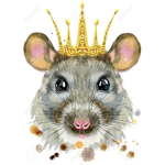 Respect the Rats!