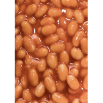 bean chilling on roblox