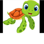 Turtle Academy