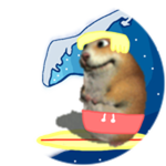 Surfer Chomik