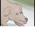 The Yum Dog Federation