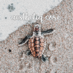 aesthetiq core