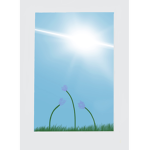 Spring, Summer, Fall, Winter
