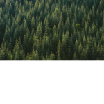 The Lumber Factory.