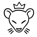 Rat clan colony