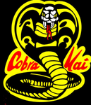 Cobra kai_z