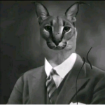 Cat mafias B)