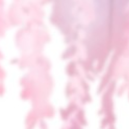 🌸
