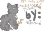 People who love warrior cats