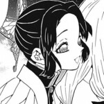 ＳＨＩＮＯＢＵ