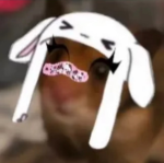 Natty’s cow._.shop