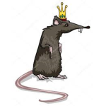 RAT KINGDOM!