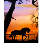 Gallop Away