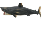 Sharks like water