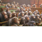 The Monkey Council Group