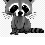 Join if u like raccoon