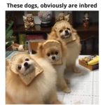 Jimmys potatos