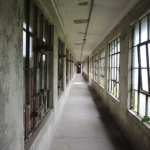 Asylum of Pointless Flowers