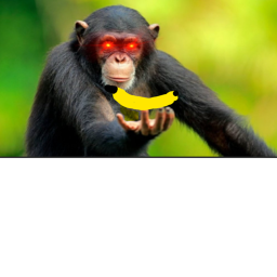 Monke kings