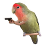 Ardeaxo YT