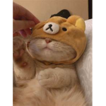 { 懒散 }