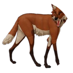Maned Wolf Feral Pass