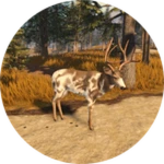 Gamepass Thumbnail