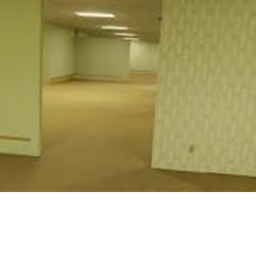 tour the backroom