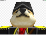 Doge and shark kingdom
