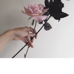 Robux flower away