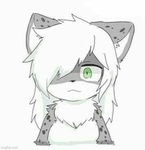 Furball Inc