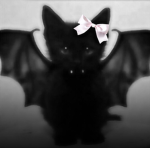 KittyBat୨୧