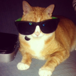 coolcatscoven