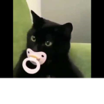 Legion Of Cats