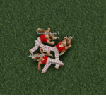 Group Thumbnail