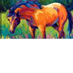 bright feild's riding acadmay