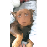 The Egg Cleetus fan group
