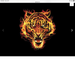 The fire lion