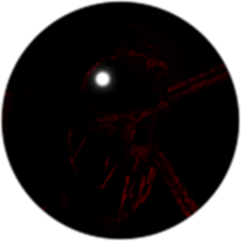 [LANTERN!] Survive The Creep