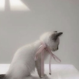 ♡